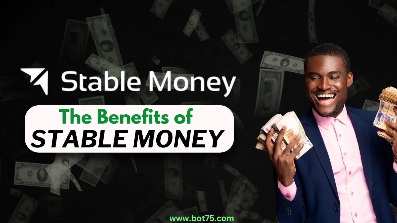 Is Stable Money SAFE for Investment 20240608 092248 0000
