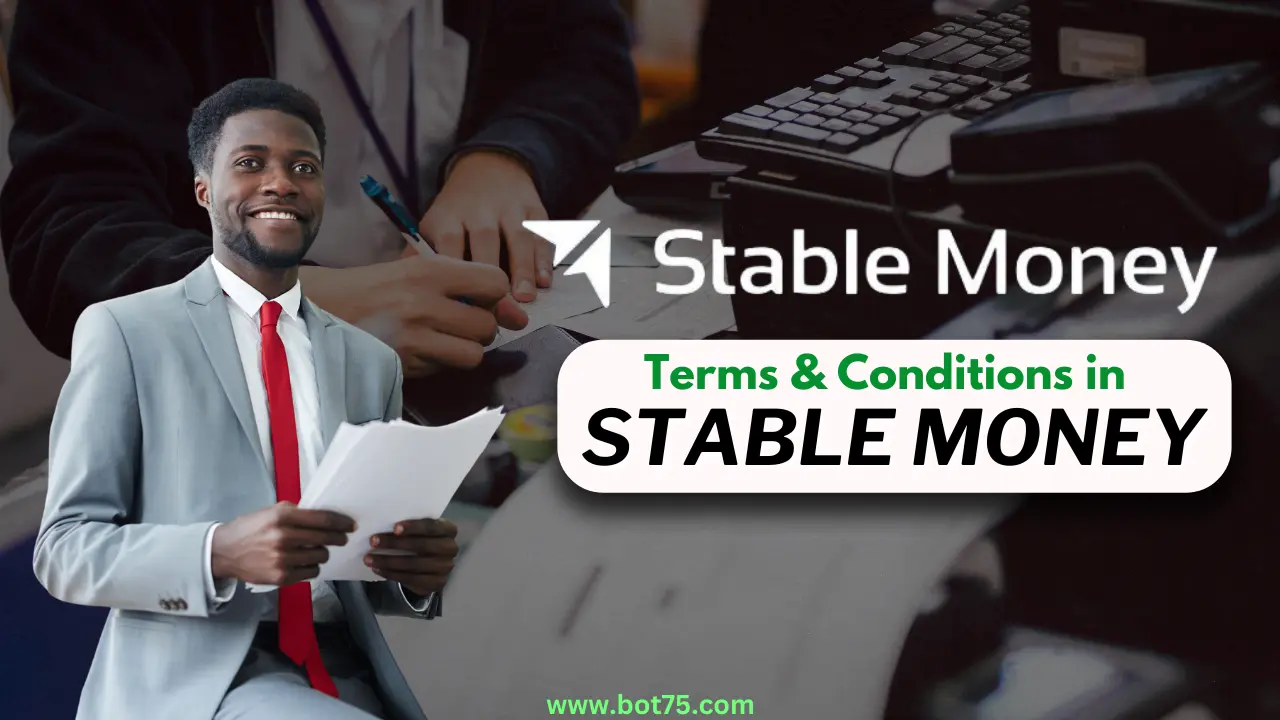 Is Stable Money SAFE for Investment 20240620 001633 0000