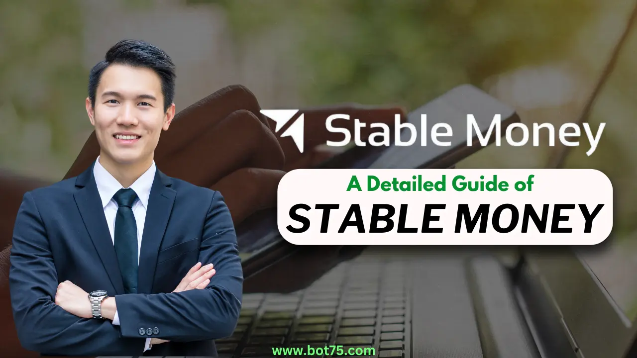 Is Stable Money SAFE for Investment 20240620 003353 0000